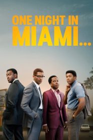 Miami’de Bir Gece izle