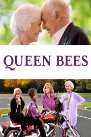 Queen Bees izle – Romantik Film